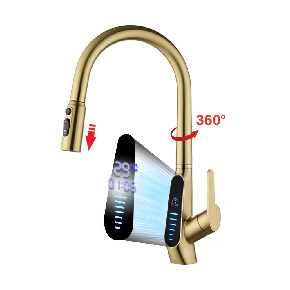 Robinet de cuisine numérique i - Commercial Kitchen Mixer Tap avis et prix
